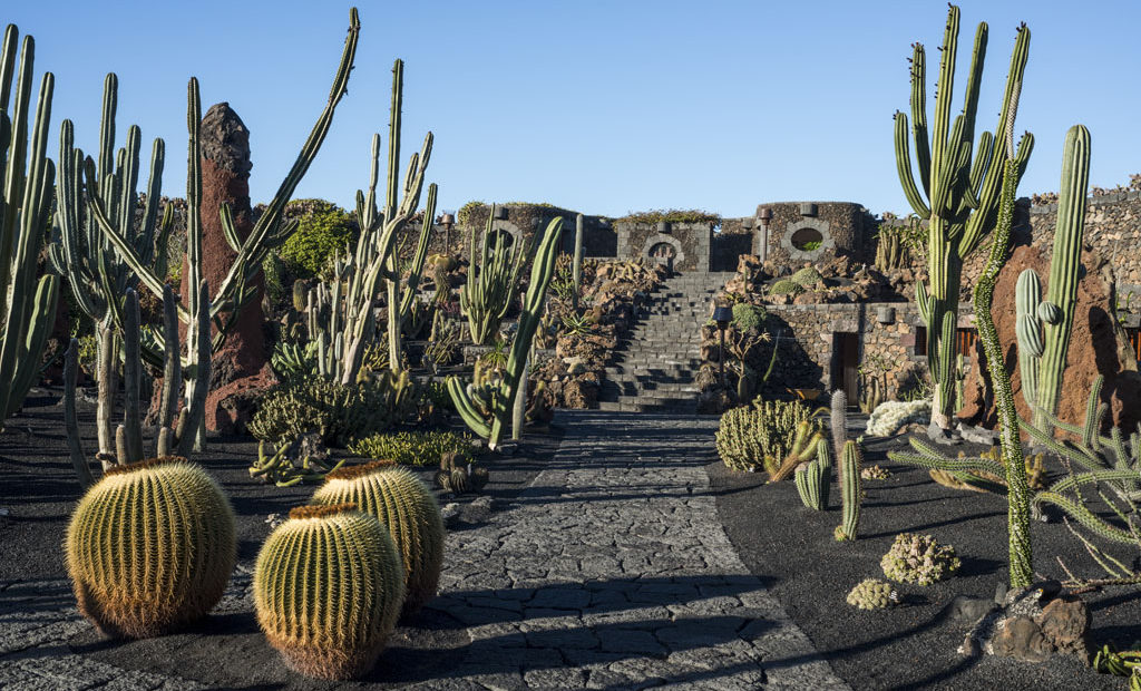 Jardín de Cactus Lanzarote