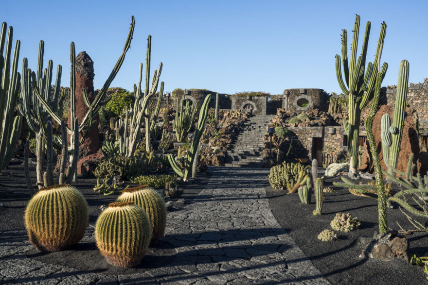 Jardín de Cactus Lanzarote