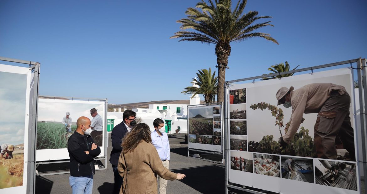 Pastorear el viento exposición en Casa Museo del Campesino