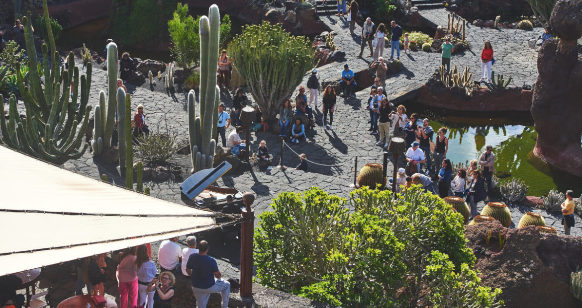 Ernesto Alemán envuelve de magia el Jardín de Cactus