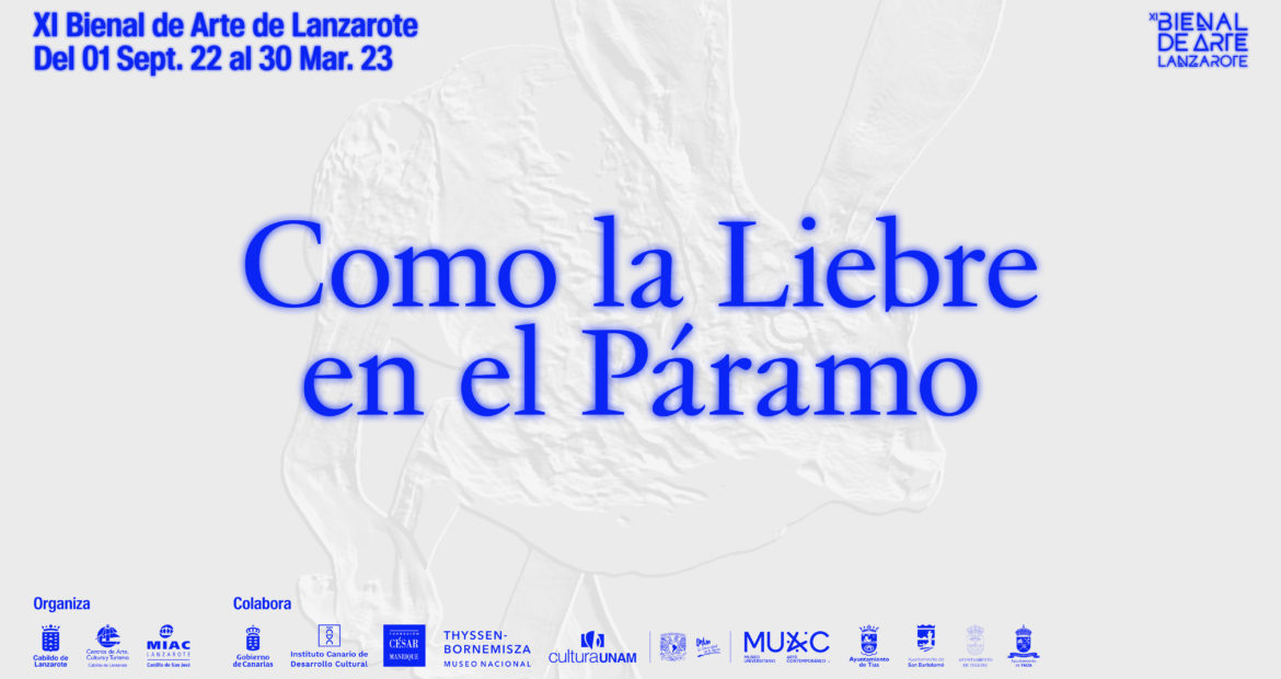 La mujer, protagonista absoluta de la recta final de la XI Bienal de Arte de Lanzarote