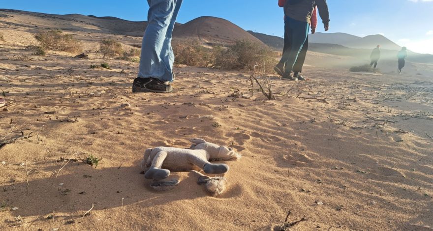 El Taller Intra-TAM exploró la creación artística en los tesoros naturales de Lanzarote